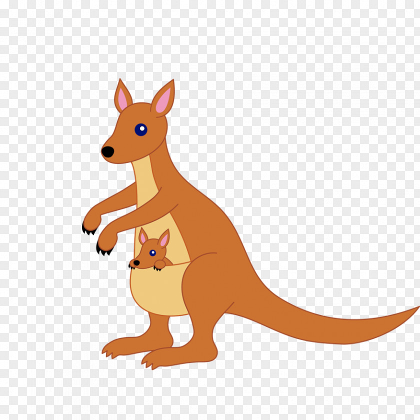 Kangaroo Care Eastern Grey Marsupial Clip Art PNG