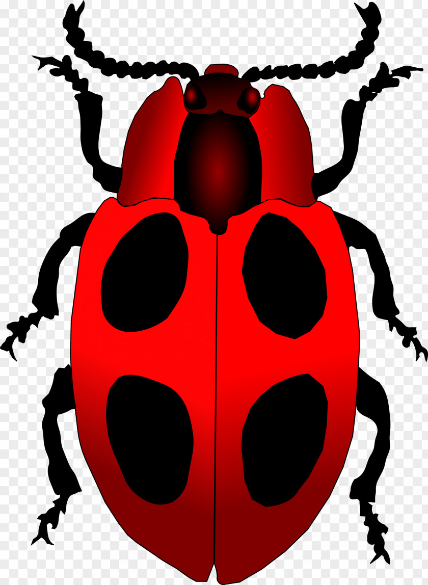 Ladybug Ladybird Beetle Drawing Clip Art PNG
