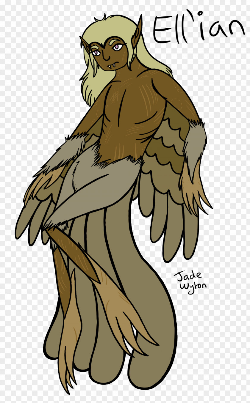 Owl Beak Feather Harpy PNG