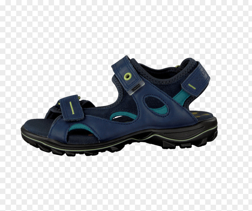 Sandal Shoe Cross-training Sneakers Walking PNG