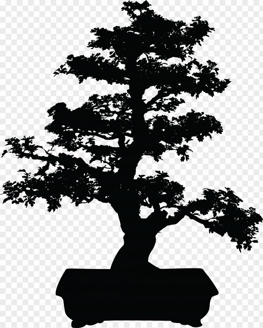 Bonsai T-shirt Silhouette Tree Clip Art PNG