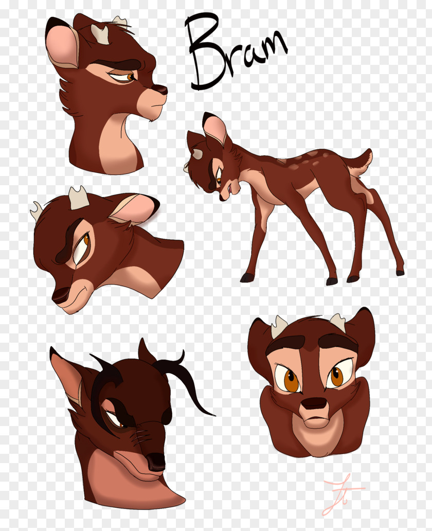 Cat Horse Deer Dog PNG