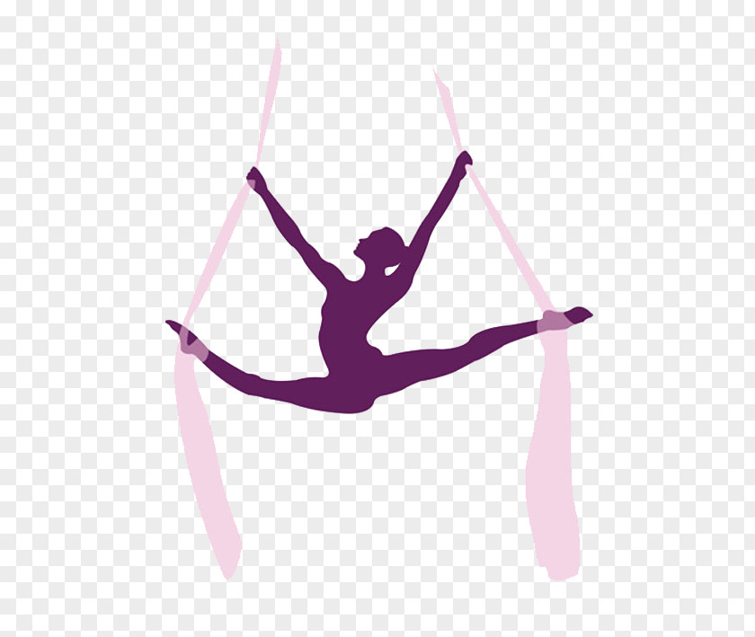 Circus Acrobatics Aerial Silk Pole Dance Gymnastics PNG