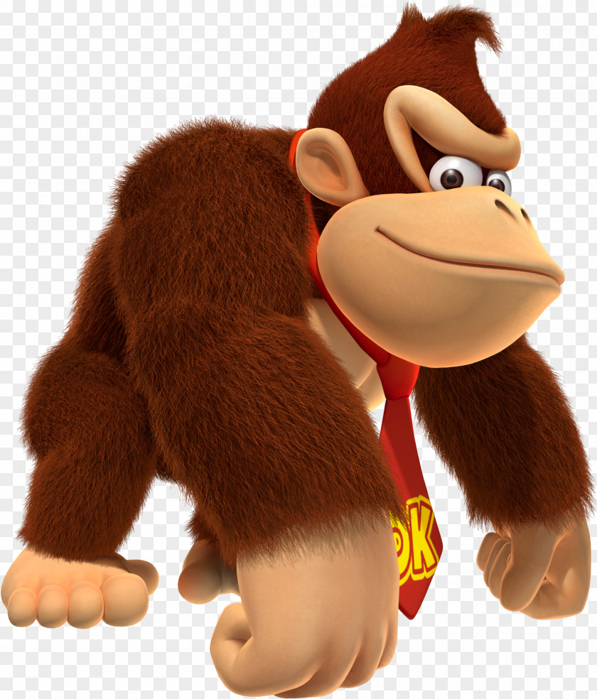 Donkey Kong Country Returns 3: Dixie Kong's Double Trouble! Land PNG