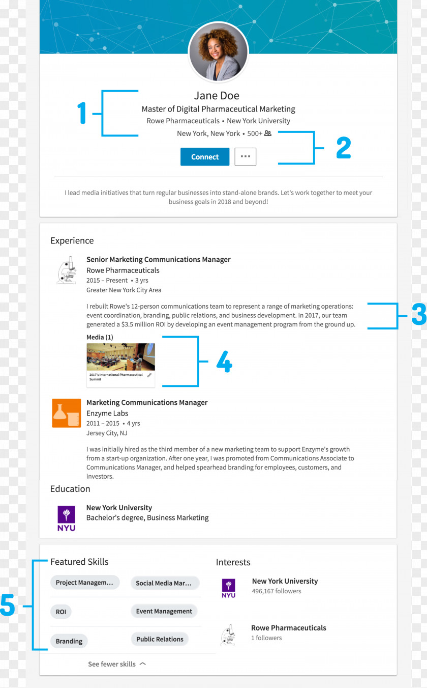 Experienced Elementary Teacher Resume LinkedIn Résumé User Profile Job Hunting Template PNG