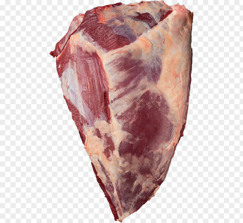 Ham Capocollo Beef Cecina Game Meat PNG