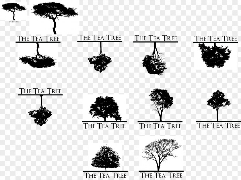 Tea Tree Nature Silhouette Arecaceae Font PNG