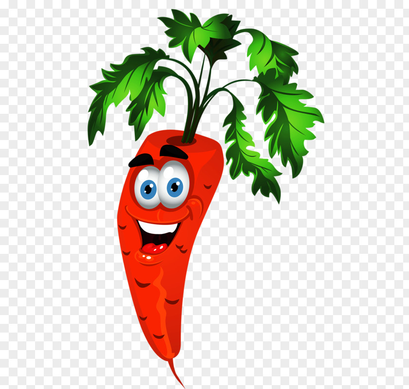 Vegetable Fruit Vector Graphics Drawing Cartoon PNG