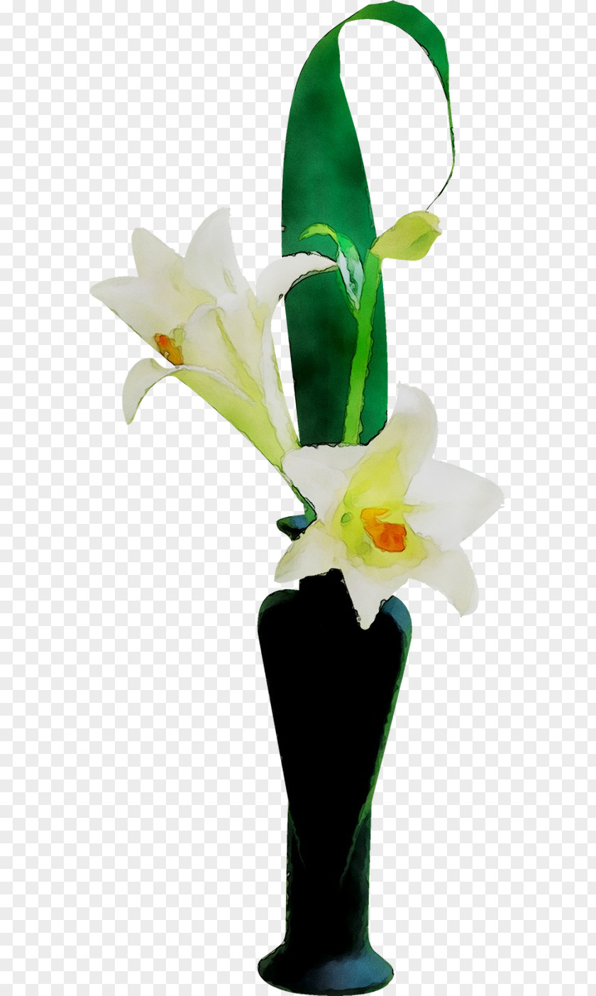Floral Design Cut Flowers Vase Plant Stem PNG