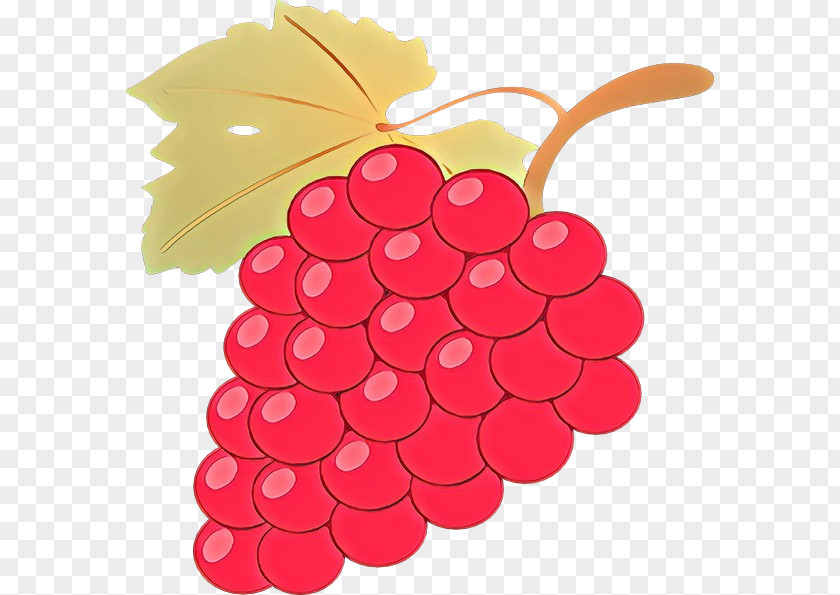 Vitis Fruit Grape Seedless Grapevine Family Red Clip Art PNG