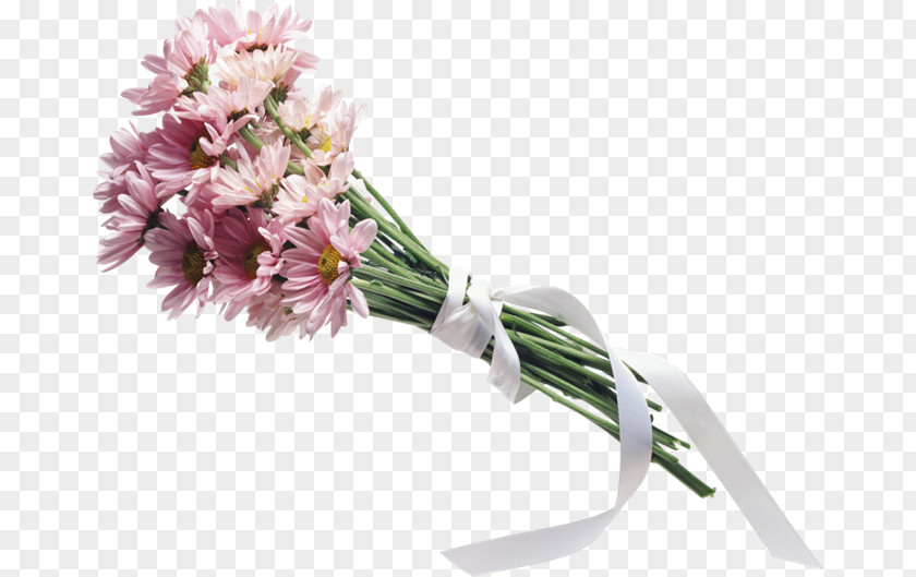 Bouquet Flowers For Algernon Nosegay PNG