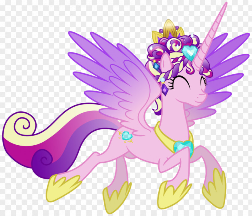 Dressed Vector Princess Cadance Twilight Sparkle Rainbow Dash Rarity Pony PNG
