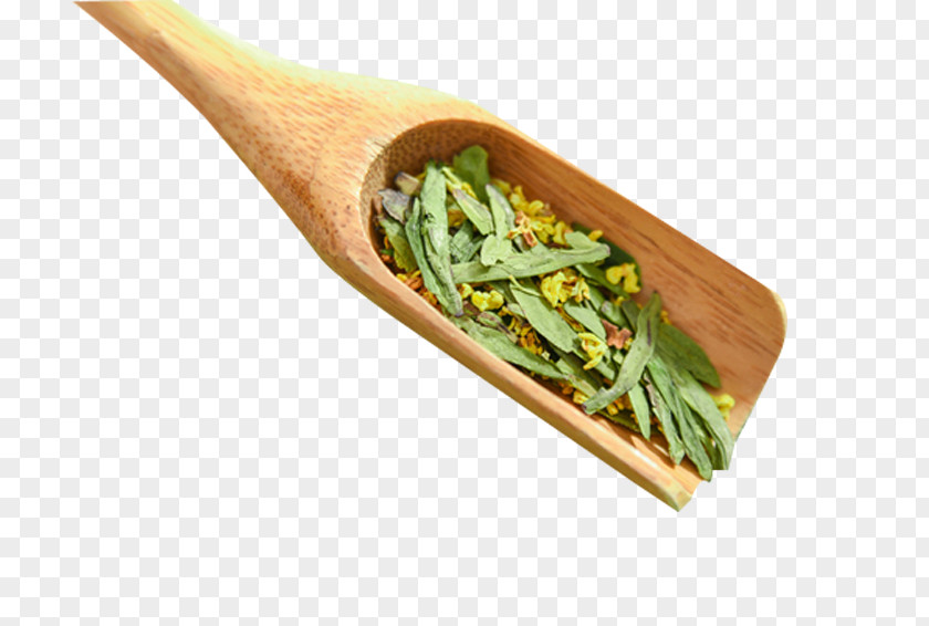 Longjing Osmanthus Tea Material Green Flowering Sweet PNG