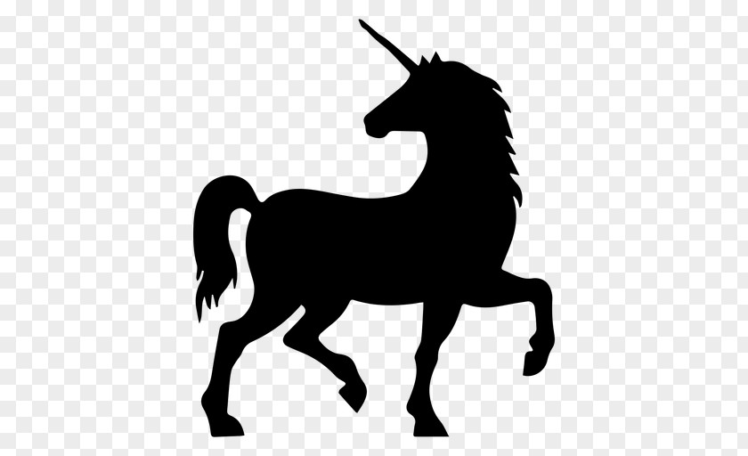 Mare Stencil Unicorn Cartoon PNG