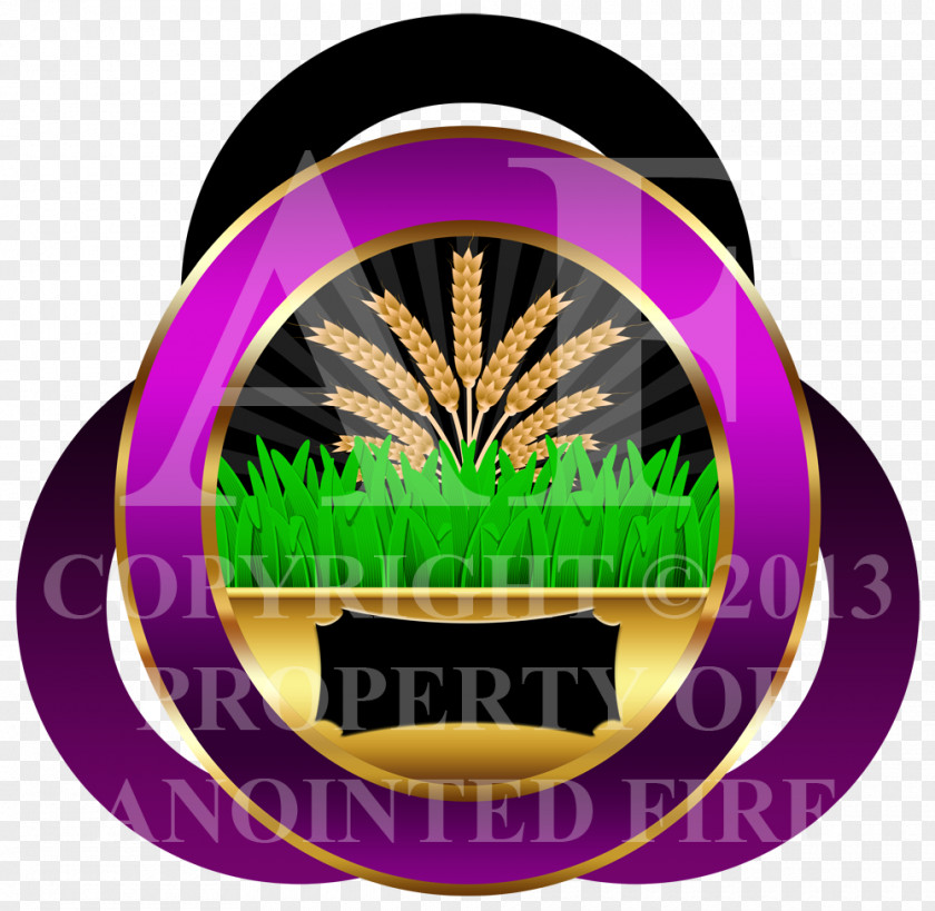 Apostle Logo Brand Font PNG