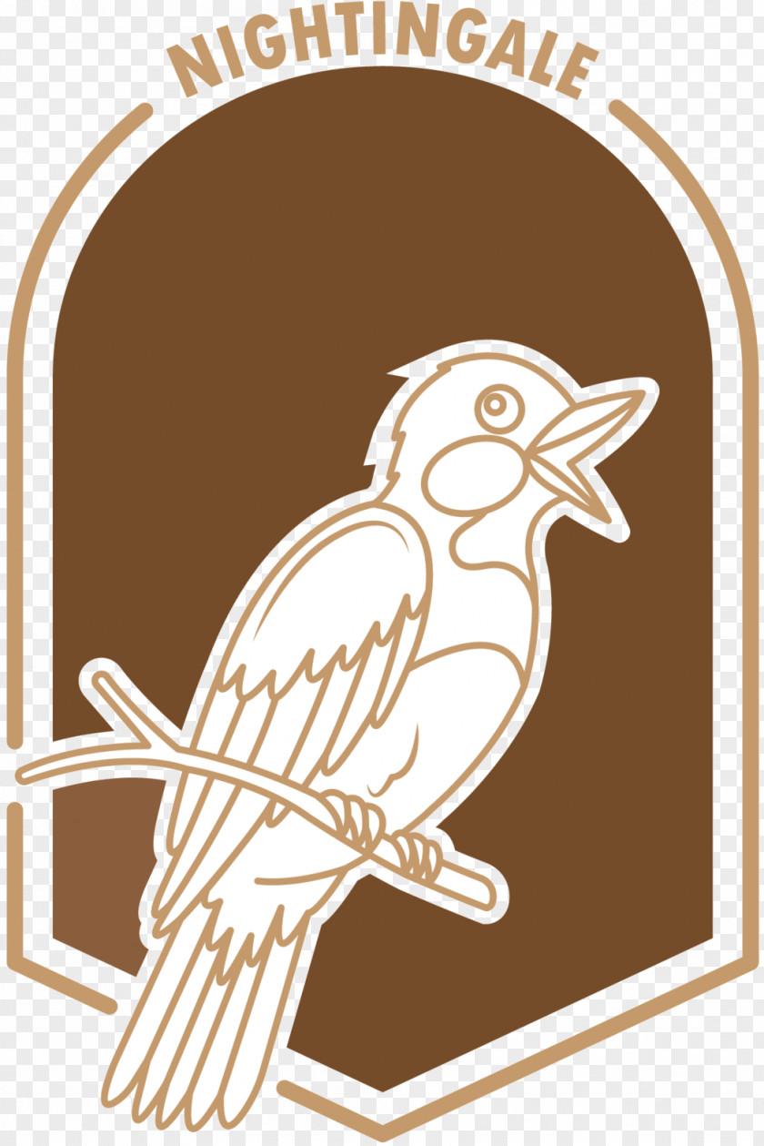 Clip Art Beak Illustration Bird Logo PNG