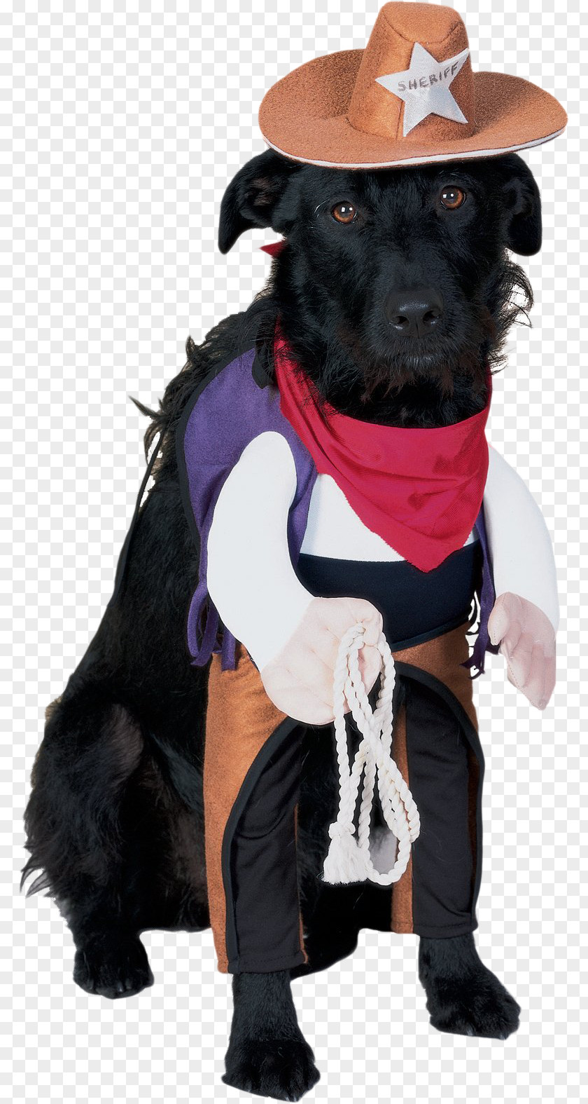 Dog Halloween Costume Party PNG