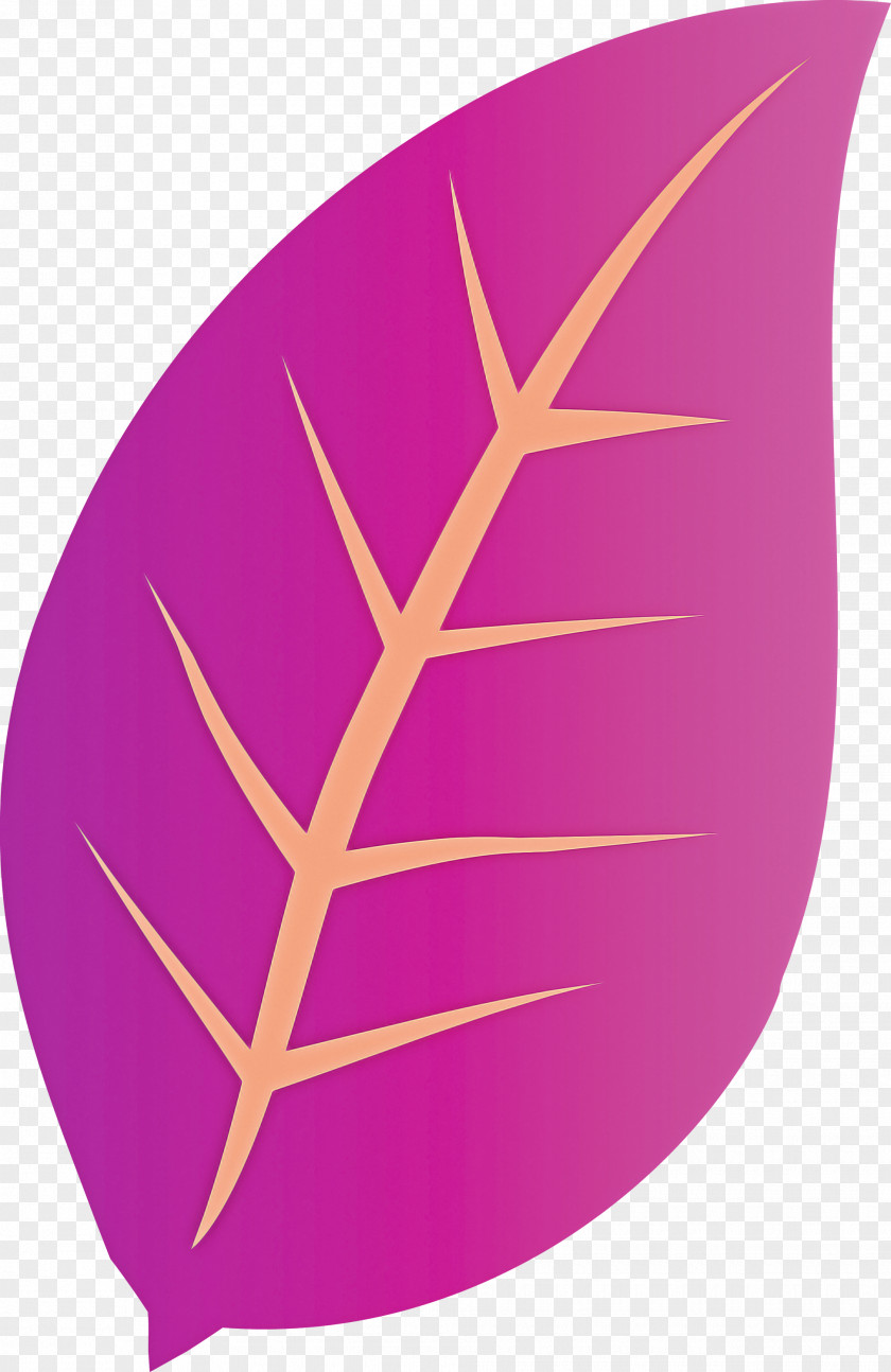 Leaf Flower Plant Stem Conifers Painting PNG