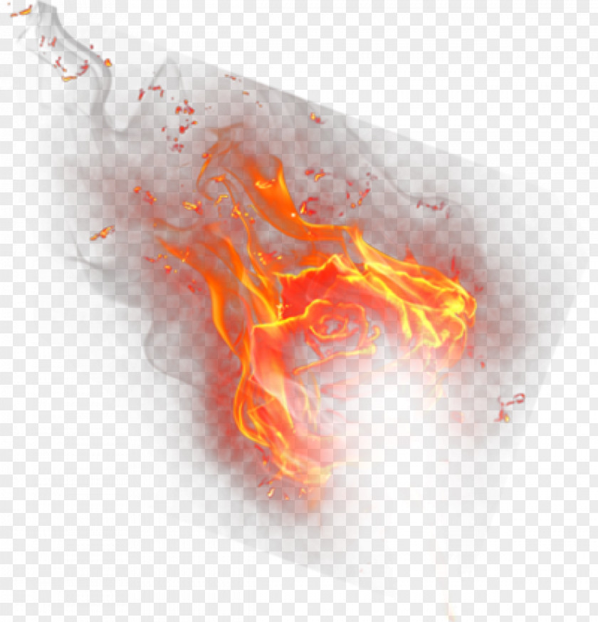 Red Flame Fire Clip Art Tiger Image PNG