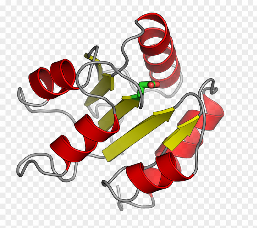 Response Regulator Histidine Kinase Two-component Regulatory System Phosphotransfer Domain Protein PNG