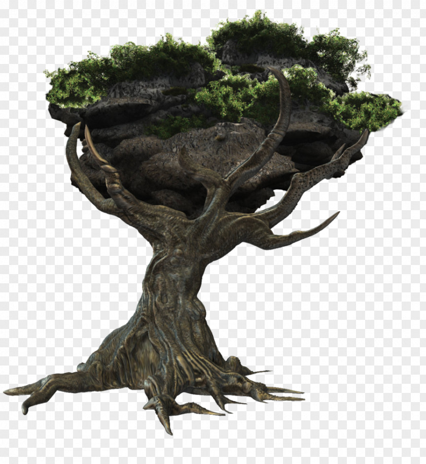 Tree Fantasy Trunk PNG