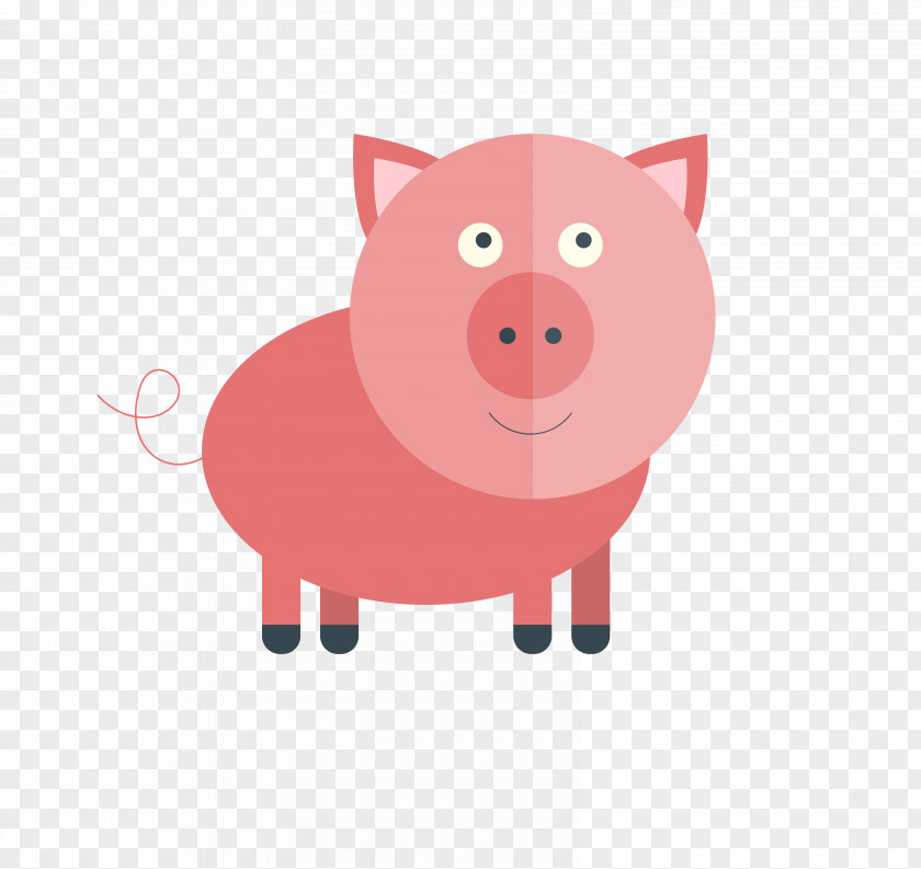 Vector Cartoon Pig Picture Domestic McDull PNG