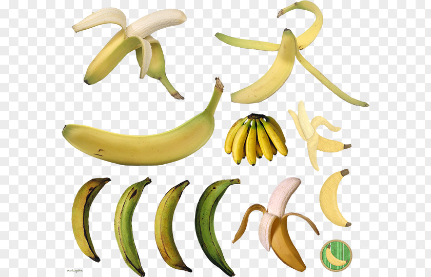 Banana Cooking Eating Commodity PNG