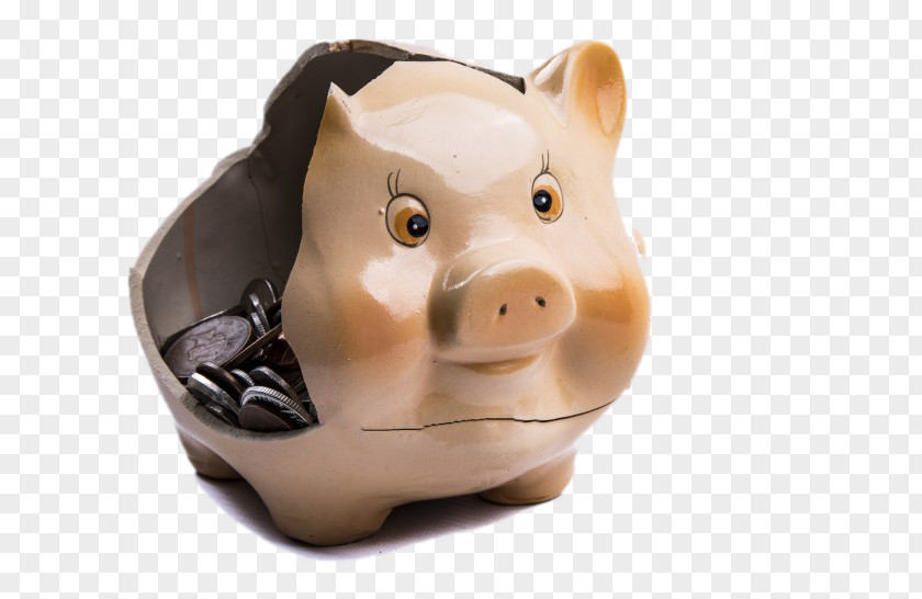 Ceramic Piggy Bank Domestic Pig Saving Investment PNG
