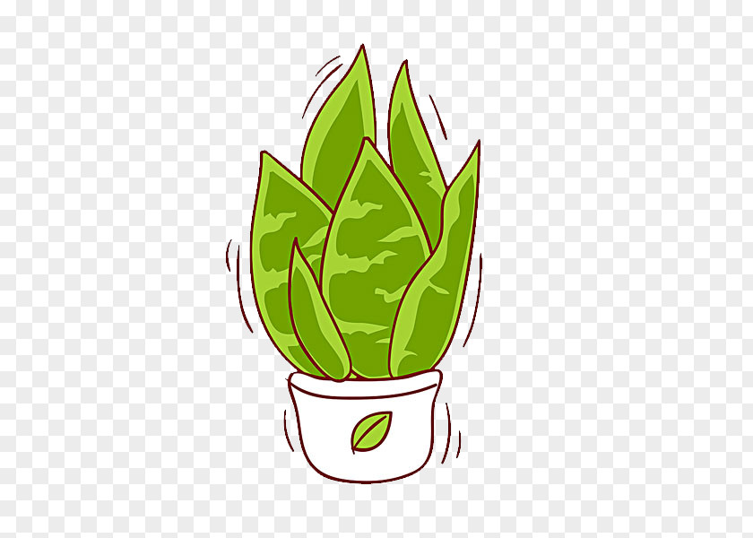 Pot Of Aloe Vera Plant Illustration PNG