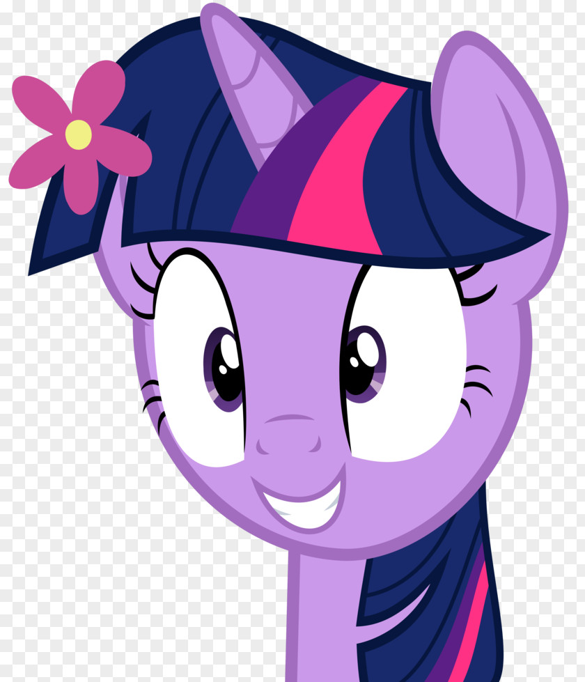 Sparkle Twilight Pinkie Pie Rarity Applejack Pony PNG