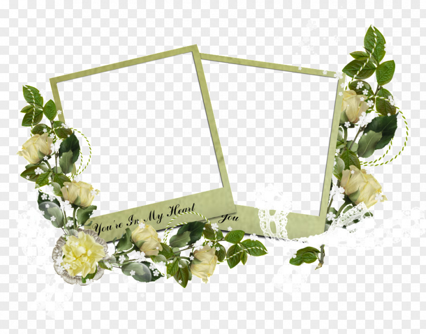 Actual Frame Floral Design Graphics Picture Frames Melody PNG