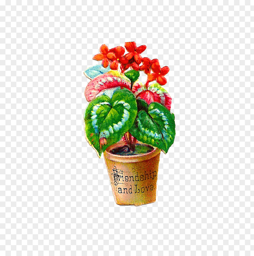 Free Flower Graphics Flowerpot Houseplant Clip Art PNG