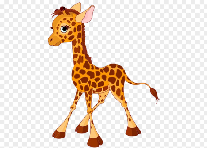 Giraffe Baby Giraffes Clip Art PNG