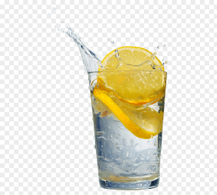 Lemon Juice Orange Drink Fizzy Drinks Gin And Tonic PNG
