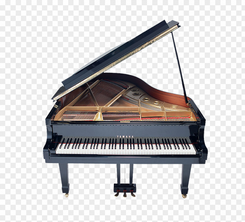 Piano Musical Instrument Icon PNG