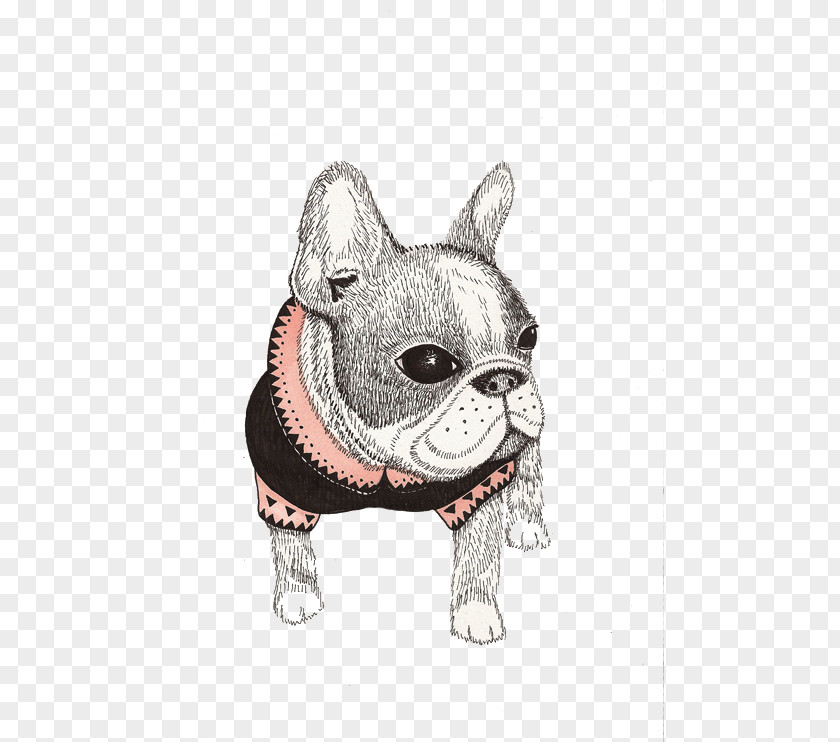 Puppy Animals Decorative Painting French Bulldog Pug Boston Terrier Illustration PNG