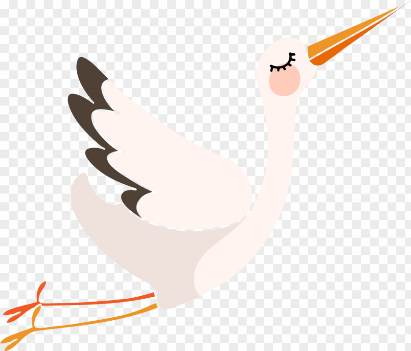 Stork Clip Art PNG