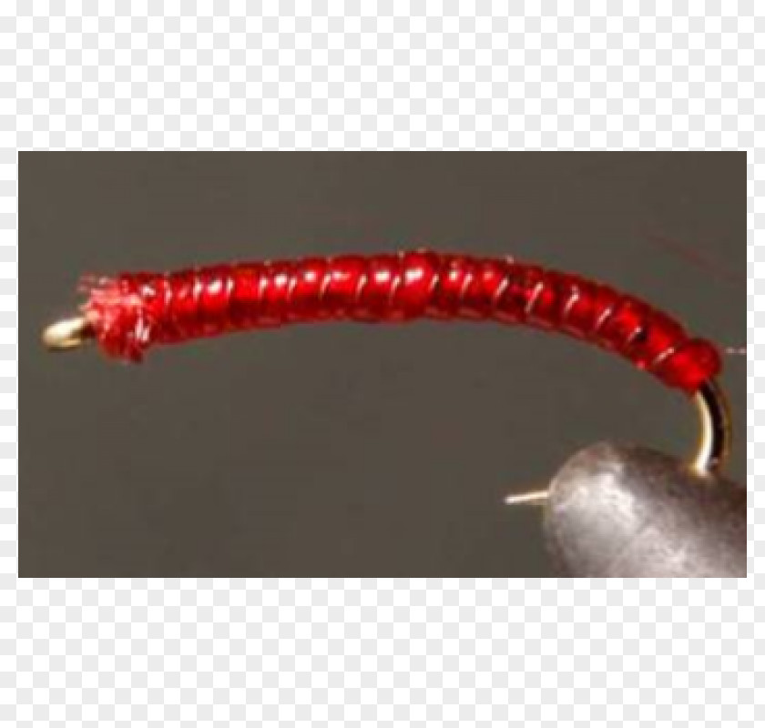 Bass Worms Worm PNG