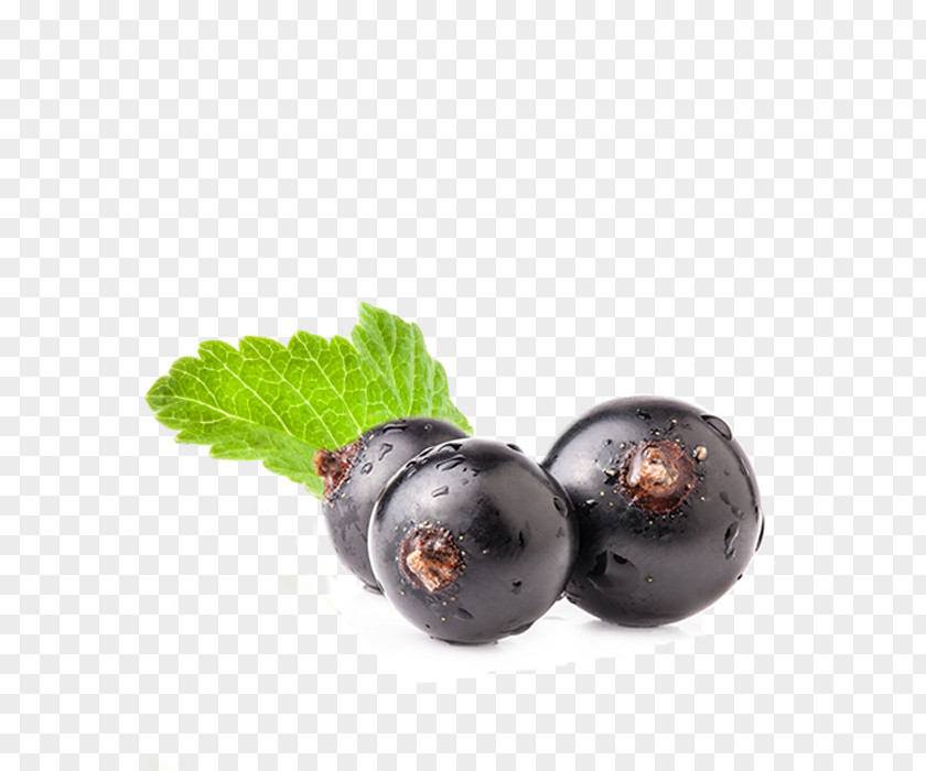 Blueberry Superfood Prune PNG