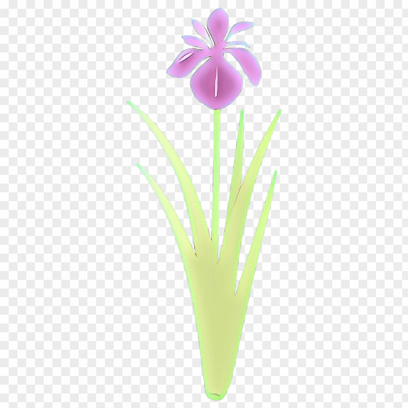 Flower Plant Petal Iris Tulip PNG
