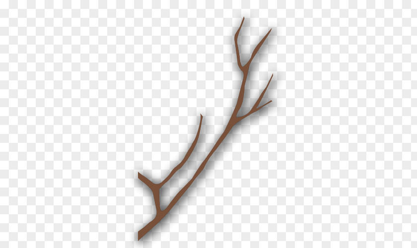 Gray Tree Branches Branch PNG