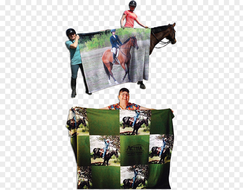 Horse Blanket Harnesses Rein Collage PNG