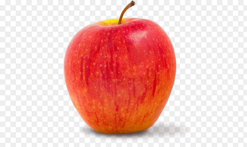 Juice McIntosh Red Fruit Apple PNG