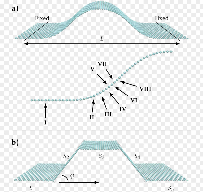 Line Product Design Point Angle Organism PNG