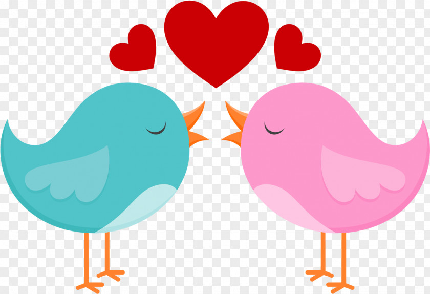Love Bird Pink Heart Sky PNG