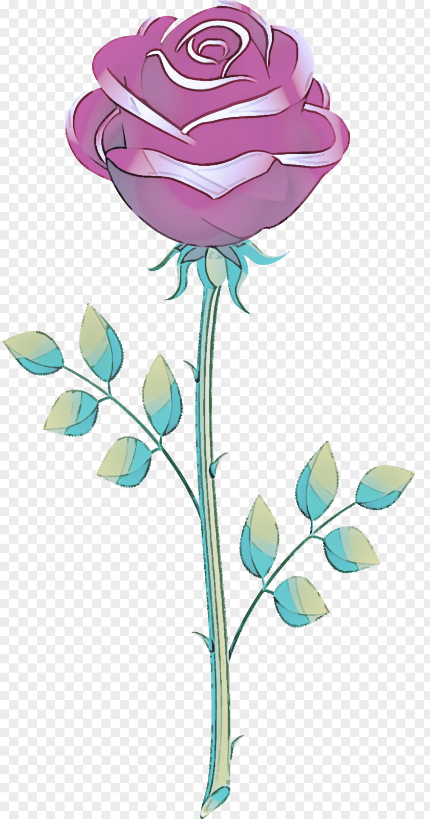 Rose Family Flowering Plant Blue PNG
