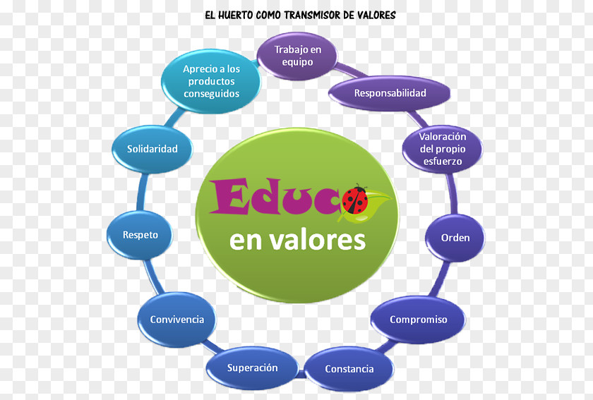 School Valor Market Garden Education Ecology PNG