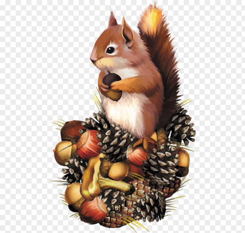 Vo Squirrel Chipmunk Clip Art PNG