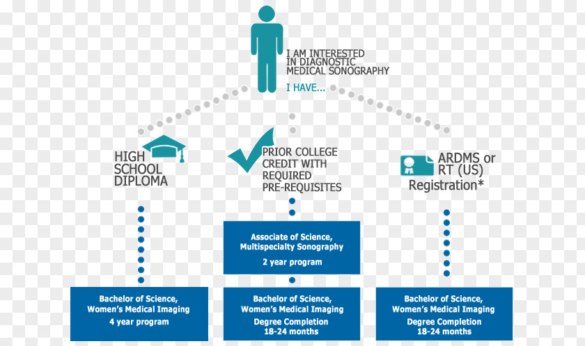 Bachelor Of Science Diagnostic Medical Sonography Sonographer Ultrasonography Academic Degree Bachelor's PNG