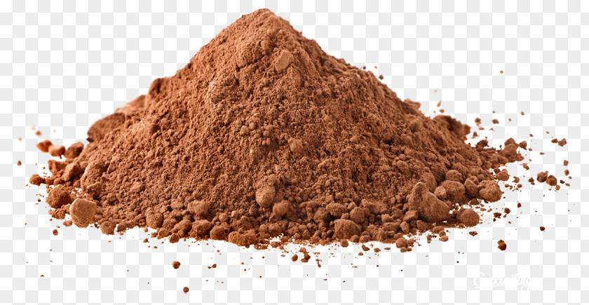 Chocolate Cocoa Bean Solids Hot Lingzhi Mushroom Extract PNG